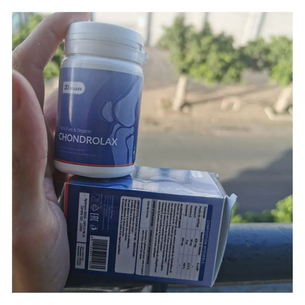Chondrolax